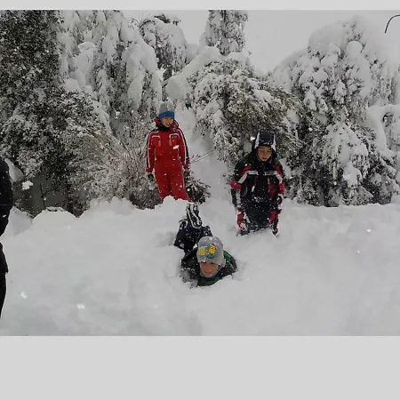 Gennargentu פוני