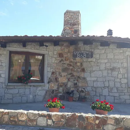 Gennargentu פוני