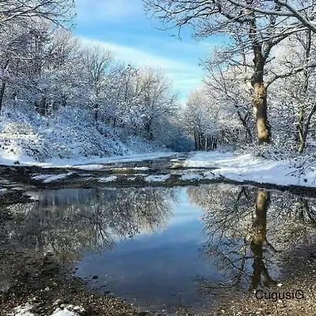 Bed and breakfast Gennargentu 3*